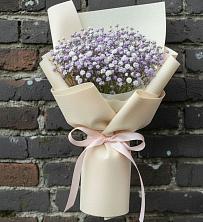 Букет цветов из:  Гипсофила в Заринск