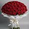 Букет 101 Красная роза Блэк Мэджик в Заринск
