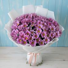 Букет цветов из:  Хризантемы в Заринск