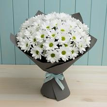 Букет цветов из:  Хризантемы в Заринск
