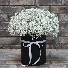 Цветочная композиция из Гипсофила в шляпной коробке в Заринск