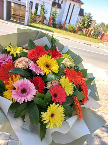 Букет цветов из: Герберы в Заринск