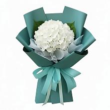 Букет цветов из:  Гортензия в Заринск